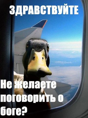 43669-povyshatel-nastroeniya-pogovorit.j