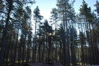 Красивые фотографии сделанные членами клуба-dsc_1201.jpg