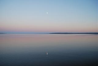 Красивые фотографии сделанные членами клуба-dsc_1168.jpg