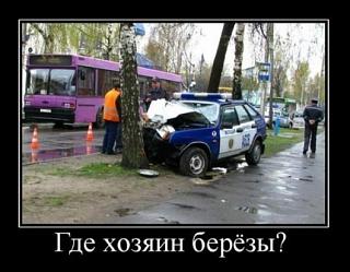 Пикчи на автомобильную тему-x_d31cd07a.jpg