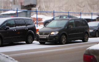 Встретил на дороге...-img_2285-.jpg