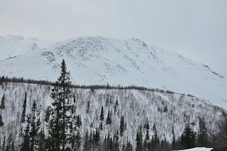 Красивые фотографии сделанные членами клуба-dsc_0278.jpg