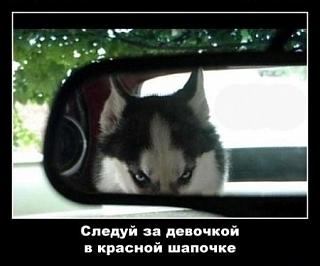 Пикчи на автомобильную тему-x_01f76f01.jpg