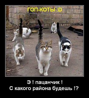 Братья наши меньшие-x_ebf43636.jpg