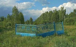 Повышатель настроения-x_d2ad7296.jpg
