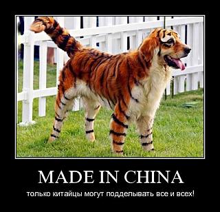 Видяшные приколы-1326591212_60kaoo1em2e9.jpg