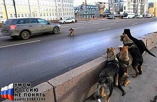 Пикчи на автомобильную тему-x_7220cf11.jpg