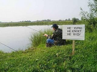 Повышатель настроения-x_c035c20b.jpg