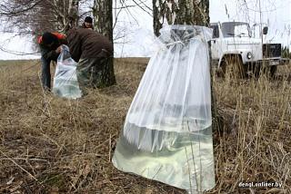 Березовый сок-img_8542.jpg