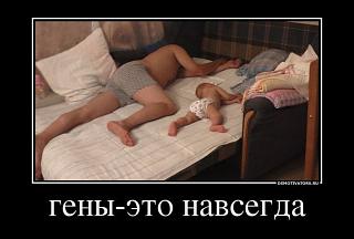 Повышатель настроения-x_4c07299f.jpg