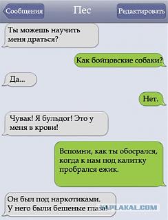 Повышатель настроения-post-3-13341277499710.jpg