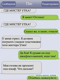 Повышатель настроения-post-3-13341277892837.jpg