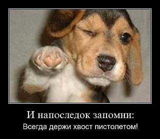 Братья наши меньшие-x_5df9f789.jpg
