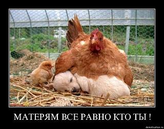 Братья наши меньшие-x_a4e93a2b.jpg