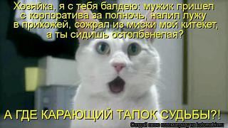 Повышатель настроения-003.jpg