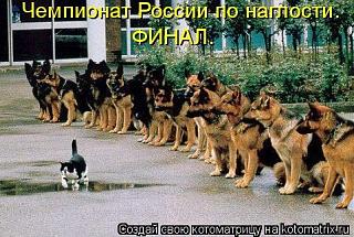 Братья наши меньшие-x_9cee4885.jpg