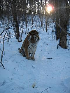 Красивые фотографии сделанные членами клуба-img_0411.jpg