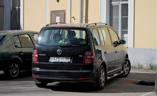 Встретил на дороге...-img_3841-.jpg