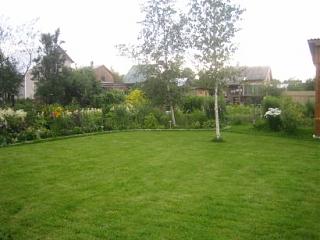 ДАЧА-img_3280.jpg