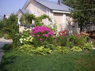 ДАЧА-imgp5647.jpg