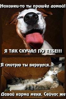 Повышатель настроения-1339252927_1339078640_1339048388_045.jpg