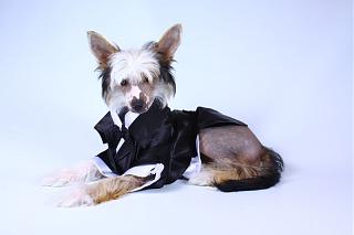 Красивые фотографии сделанные членами клуба-0014.jpg