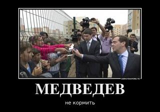 Повышатель настроения-5991818_medvedev.jpg