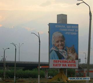 Политика-.jpg