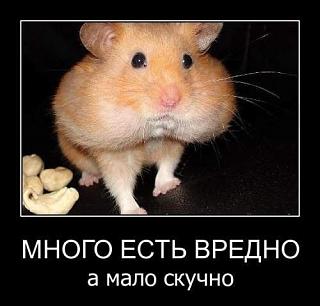 Повышатель настроения-ycox77bx3f0.jpg