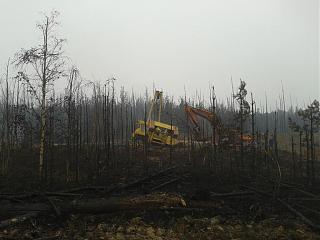 Красивые фотографии сделанные членами клуба-20120830_091255.jpg