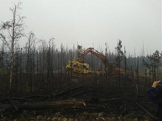 Красивые фотографии сделанные членами клуба-20120830_091312.jpg