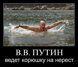 Политика-th3iy0ydn2g.jpg