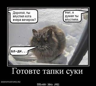Видяшные приколы-2c29ab309bca.jpg