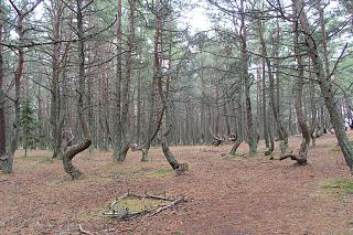 Красивые фотографии сделанные членами клуба-p3091048.jpg