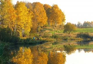 Красивые фотографии сделанные членами клуба-2-.jpg