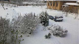 Ну и погодка!-2012-10-27-0001.jpg