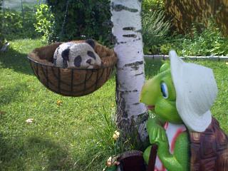 ДАЧА-01082009030.jpg
