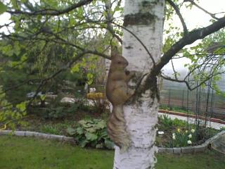 ДАЧА-05052012296.jpg