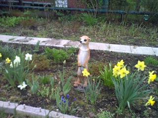 ДАЧА-05052012297.jpg