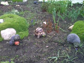 ДАЧА-05052012298.jpg