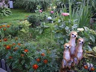 ДАЧА-imgp6845.jpg