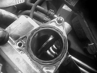 Кто нибудь может подсказать что означает Abgas Werkstatt?-img0256a.jpg