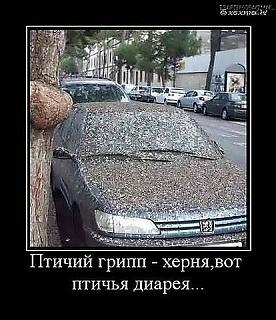 Пикчи на автомобильную тему-getimageca7aezme.jpg