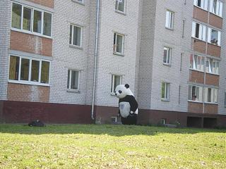 Повышатель настроения-imgp2531.jpg