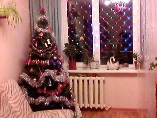 Новогодняя елка-img0002a.jpg