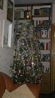 Новогодняя елка-27122012.jpg