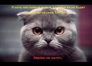 Братья наши меньшие-.jpg