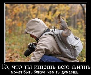 Братья наши меньшие-awziqlg8q5i.jpg