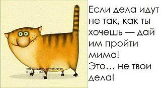 Повышатель настроения-lm01jzuj98w.jpg