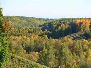 Красивые фотографии сделанные членами клуба-dsc07425.jpg